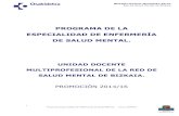 Enfermería Salud Mental (PDF, 557 KB)