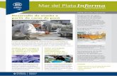 Mar del Plata Informa n°4