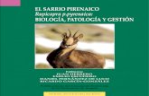 EL SARRIO PIRENAICO Rupicapra p.pyrenaica: BIOLOGÍA ...