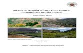 riesgo de erosión hídrica en la cuenca hidrográfica del río mundo