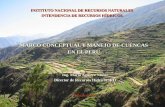 Delimitación y Codificación de Cuencas Hidrográficas del Peru