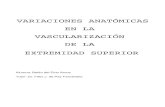 variaciones anatómicas en la vascularización de la extremidad ...