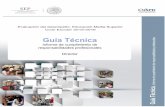 Guía Técnica. Informe de Cumplimiento de Responsabilidades ...