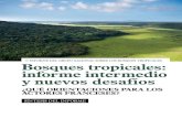 Bosques tropicales: informe intermedio y nuevos desafíos