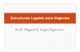 Estructuras Legales para Negocios
