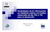 Presentation by Wilson Peres, Comisión Económica para América ...