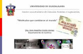 Dra. Sara Angelica Cortés Llamas - Moleculas que cambiaron al ...