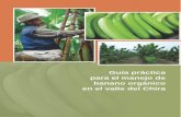 Guía práctica para el manejo de banano orgánico en el valle del Chira