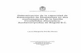 Determinación de la capacidad de transmisión de fitoplasmas en ...