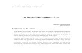 Retinosis pigmentaria. Guía informativa, completa en formato PDF
