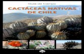 Guía de Campo. Cactáceas nativas de Chile