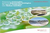 Procesos avanzados para la depuración biológica de aguas ...