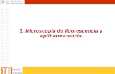 5. Microscopía de fluorescencia y epifluorescencia