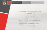 Saldo de Fondos Públicos - SAFOP - Maria Crisanto