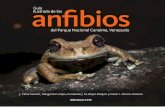Guía Ilustrada de Anfibios del Parque Nacional Canaima ...