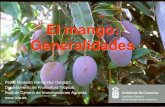 Charla sobre Cultivo del Mango en el Curso Cultivos tropicales y ...