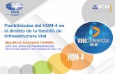 Posibilidades del HDM-4 en el ámbito de la Gestión de ...