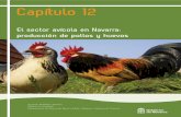 Capítulo 12: El sector avícola
