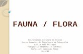 Fauna / Flora
