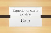 Expresiones en español con la palabra gato