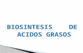 Diapositivas Bioquimica III segmento, Biosintesis de acidos grasos