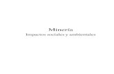 Minería. Impactos sociales y ambientales