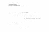 Tesis Doctoral Estudios Ecofisiológicos del ají dulce (C. chinense ...