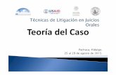 2 Teoría del Caso. Curso en Técnicas Básicas para el litigio Oral ...