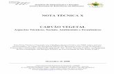 Nota Técnica X - Carvão vegetal: aspectos técnicos, sociais ...