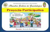 Proyecto participativo 3°