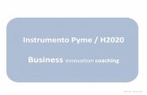El papel del coach en el desarrollo de un proyecto. Coaching Instrument Pyme