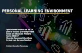 Personal Learning Environment (PLE)