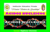 áCidos  nucleicos