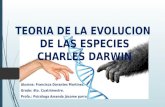 Evolucion darwin