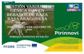14 pirinnovi gestion del roa pirinnovi upra (definitivo 15-10-16)