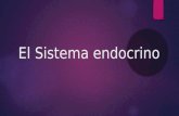 Sistema endocrino y sistema nervioso