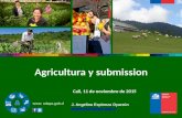 ODEPA - Agricultura y submission