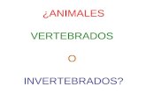 Animales vertebrados de la Sabana