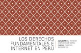 Los Derechos Fundamentales e Internet en el Peru