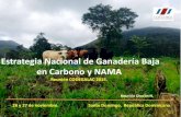 Experiencia en la formulación e implementación del NAMA Ganadero en Costa Rica.