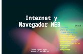 TICS Internet y navegador web.