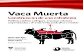 Argentina - Vaca Muerta: construcción de una estrategia
