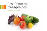 Los alimentos transgénicos