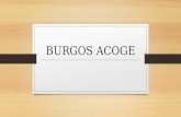 Burgos Acoge