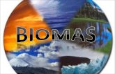 Biomas ecologia