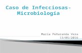 Fiebre y esplenomegalia -> Leishmania, Dra María Peñaranda