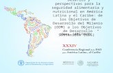 Docs. LARC/16/2 - Desafíos y perspectivas para la seguridad alimentaria y nutricional en América Latina y el Caribe: de los Objetivos de Desarrollo del Milenio (ODM) a los Objetivos