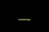 1.2. Radiobiología en Radioterapia