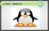 Pasos instalacion linux