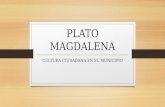 Plato magdalena